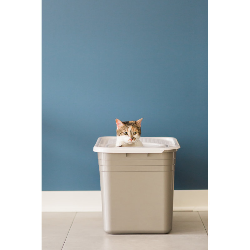 Petmate Top Entry Litter Pan & Reviews Wayfair